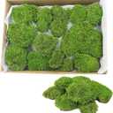 FAICOIA Preserved Moss Bulk Green Natural Preserved Pole Moss Pillow for Potted Plants 2.5 sq.ft Green Moss Balls for Bowls Wall Art Terrariums Crafts Fairy Gardens Easter Table Decor
