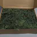 9ft Christmas Garland with Lights, Cedar Garland, Thick Realistic Green Cedar Pine Garland for Mantle, Stairs Railing, Indoor Outdoor New Year Decoration with Smart Timer