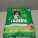 IAMS Proactive Health Adult Minichunks Premium Dry Dog Food, Adult Dog Food Dry Recipe, 30 lb. Bag (EXP 12/20/25)