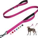 Fida 5 FT Heavy Duty Dog Leash with 2 Comfortable Padded Handles, Traffic Handle & Advanced Easy Snap Hook, Reflective Walking Lead for Large, Medium & Small Breed Dogs, Rose (5 Feet (Pack of 1))