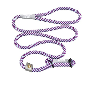 Cesar Millan Slip Lead Leash™ - 2-in-1 Slip Collar Dog Training Lead & Collar | Heavy Duty Durable Weatherproof Rope Leash, No Pull Training | Length 4ft Diameter 4/10”(Regular, Aqua/Purple)