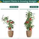 PROWORX 48 Inch 4 Ft Plant Support Garden Stakes 25 PCS, Sturdy Steel Plastic Coated Sticks for Outdoor Growing Climbing, Tomato, Trees, Cucumber, Beans