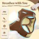 Rabbitgoo Dog Harness Small Sized and Leash Set, Step in Soft Light Puppy Vest, Breathable Mesh Pet Harness, Reflective for Safe Easy Walking, Brown & Beige, M