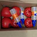 Terro Fruit Fly Traps for Indoors (6 Pack) + 270 Days of Lure Supply
