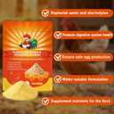 2 x Probiotic + Electrolyte Powder for Chickens, Natural Hydration & Gut Support, Helps Digestive Health, Egg Production, Best By: 2025/12/19