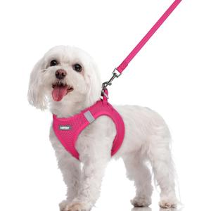 Rabbitgoo Dog Harness Small Sized and Leash Set, Step in Soft Light Puppy Vest, Breathable Mesh Pet Harness, Reflective for Safe Easy Walking, Rose Red M (Chest: 16 - 18.5")