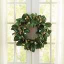 24 Inch Eucalyptus Wreaths for Front Door,Spring Summer Fall Autumn Winter Wreaths,Large Eucalyptus Greenery Wreath with Olive Leaves Berries for Front Door Outdoor Farmhouse Decor All Seasons