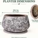 Xiaan Jiaju Vintage Ceramic Planter with Decorative Tray, Plant Lover Gift, 10 inches
