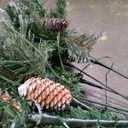 Yaheetech 6ft Pre-lit Frosted Artificial Hinged Christmas Tree with 818 Flocked PVC Tips,62 Pine Cones,62 Holly Berries & 250 Warm White Lights,Foldable Stand,Green