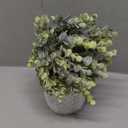 MyGift Artificial Eucalyptus Plant in Modern Gray Concrete Pots with Geometric Embossed Pattern (1, White)