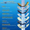 Bath Filter for Tub - Kinder Water Filter for Bathtub, Hard Water Softener to Remove Lead,Chlorine and Fluoride, Improve Skin, Hair and Nails Condition,Chrome