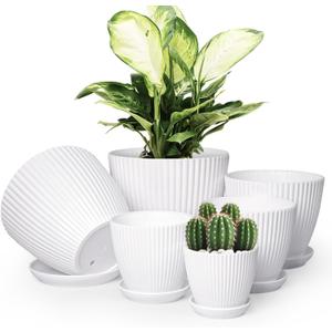 Plant Pots Indoor with Saucers & Drainage - 6 Pack Flower Pots - Plastic Planters for Indoor Planter - 7.5/6.6/5.8/5.0/4.3/3.5 inches Sizes for All Different Types of Plants - White