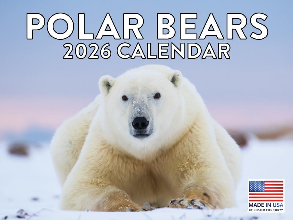 Polar Bear Calendar 2026 Monthly Wall Calender 12 Month | American Made In The USA