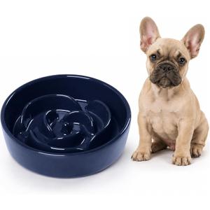 Slow Feeder Dog Bowls, Ceramic Slow Feeding Bowl for Small and Medium Breed, Anti Choking Puzzle Dog Food Bowl with Non-Slip Base for Fast Eater (Blue, S-0.6CUP)