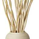 Curly Willow Branches for Vases,Twigs and Branches for Vases,20 Stems,About 19 Inch,Rustic Home Decor,Accessories for Home Vase Decoration