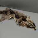 1pcs Natural Tanned American Raccoon Fur Hide Whole Skin Pelts with High Grade Professionally Taxidermy Crafts Sewing Leather for Coats, Hats, Clothing About L (25.6-27.6) x W (7.9-15.7) inch, Brown