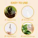 [2 PCS] Iridescent Self Watering Globes, Glass Rainbow Plant Watering Globes, Self Watering Planter Insert, Automatic Plant Waterer Indoor, Plant Watering Devices, Plant Water Globes, Watering Bulb