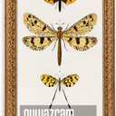 Ornate Classic Gold 10x20 Picture Frame with Raised Leaf Border, 10 x 20 in