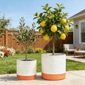 GreenShip Planter Set of 2 (13.7" & 11.8") – Cylinder Planters with Drainage Hole and Planter Saucer, Jun Porcelain Clay & Recycled Resin, Decorate Home,Office & Outdoor,White pots, 13.7in+11.8in