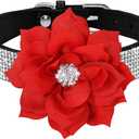 Cute Dog Collar with Bling Rhinestone, Fancy Crystal Diamond Glitter Pretty Jewel Soft Cat Collars for Small Medium Large Breed Dogs Girl Female Pet Puppy Kitten Terrier (L, Black2)