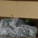 Der Rose 2 Pack Fake Plants Hanging Artificial Succulents Plants in Black Pots for Living Room Bathroom Accessories Boho Farmhouse Wall Decor