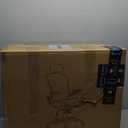 Ergonomic Office Chair, Mesh Seat Cushion with Flip-Up Armrests and 3D Headrest, Adjustable Lumbar Support, SGS Class 4 Gas Clylinder, Light Grey