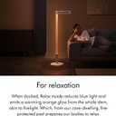 Dyson Solarcycle Morph™ Floor Light CF06