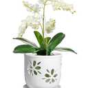 Vensovo 6 Inch Orchid Pot with Holes and Saucer - White Ceramic Orchid Planter for Repotting, Flower Pot for Indoor/Outdoor Plants (1 Pack)