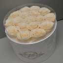 17 Flowers in a Luxury Suede Box, Birthday Gifts for Women, Preserved Flowers, Mothers Day Roses Gift for Mom, Champagne