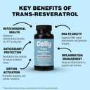 10 x Celly Trans-Resveratrol 400mg | Longevity Supplement for Healthy Aging and Cellular Health | High Absorption for Maximum Benefit | 30 Servings | Non-GMO & 3rd Party Tested