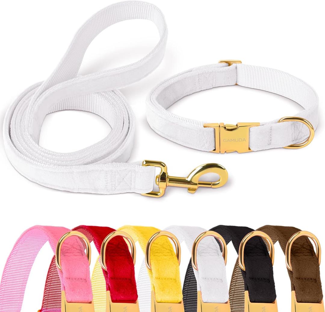 GAMUDA Velvet Dog Collar and Leash, Super Soft and Smooth, Heavy Duty Gold Buckle, Comfortable and Easy to Clean, Adjustable Collar for Dog (XS, White)