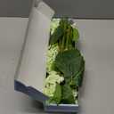 MARTINE MALL 4Pcs 21in Hydrangea Artificial Flowers, Latex Real Touch Hydrangeas Lifelike Large Hydrangea Flowers for Home Decor Party Arrangements Wedding Bouquets Centerpieces (Light Green)