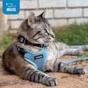 Best Pet Supplies Voyager Step-in Lock Pet Harness w Reflective Pet Leash Combo Set with Neoprene Handle 5ft - Supports Small, Medium and Large Breed Puppies/Cats - Turquoise Set, XS