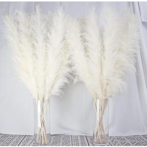 10 Stems 40-inch White Pampas Grass Decor Tall, Large Pampas Grass, Boho Neutral Home Decor Bouquet. Fluffy Pampas Grass for Floor Vases, Wedding Floral Arrangements, Wall Decor, Farmhouse Table Decor
