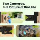 Birdfy Smart Bird House with Cameras 2025 New Version,1080P Dual-Cam, Remote Control,Solar Powered, AI Identify, Wireless Outdoor Watch Bluebird Cardinal Nesting Story in Realtime, DIY Gift (Bamboo)