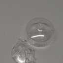 6 Pcs Ribbed Martini Glasses 10 oz Disposable Plastic Vintage Ribbed Coupe Glasses Unbreakable Dessert Parfait Glassware for Wedding Birthday Party Supplies (Clear)