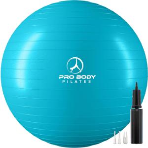 ProBody Pilates Yoga Ball - Fresh Colors Exercise Ball for Stability, Pregnancy, Workout & Physical Therapy (L (22.8"-25.5"), Sky)