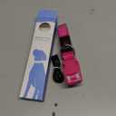 Flashseen LED Dog Collar, Light Up Dog Collar USB Rechargeable, Brightest Dog Lights for Night Walking, Adjustable Dog Collar Light for Dog Safety(Small, Candy Pink)