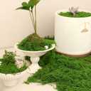 5.3oz Fake Moss for Crafts, Green Artificial Moss for Plants Indoor Outdoor