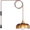 XZHGCEE Plug in Pendant Light: Amber Glass Hanging Lamp Plug in, 14.7ft Swag Lamp Cord with On/Off Switch for Kitchen Island/Dining Room/Bedroom/Living Room Hanging Light, No Bulb