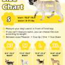 Dono Dog Diapers Female, Disposable Full Wrap with Stretchy Waist, 360° Leak-Proof, Absorbent, Heat Period Doggie Diapers for Small and Large Dogs for Heat, 14 PCS