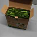 GREENER WALKER Tie Handles Poo Bags for Dog Waste, 600 Doggy Waste Bags Extra Thick Strong 100% Leak-Proof (Green)