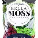 Preserved Moss Mix 200 cu in Bag