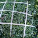 TTTM Greenery Wall, 20''X20'' 12P Artificial Ivy Privacy Fence Screen Panel