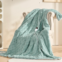 Heated Blanket Queen Size, 6 Heat Levels 1-4H Auto Off,Sage Green