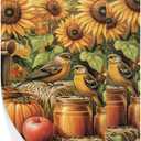 2 Piece Autumn Pumpkin Apples Hand Towels Set Sunflower Birds Bath Towel Soft Absorbent Bathroom Towels for Hotel Gym Spa Yoga Swim Sport, 28.3 x 14.4 inches