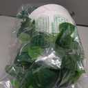 Mkono Fake Hanging Plant with Lights, Artificial Plants for Home Decor Indoor Macrame Plant Hanger with Fake Vines Greenery for Bedroom Bathroom Kitchen Office Decor (1)