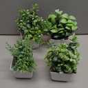 Der Rose 4 Pack Fake Plants Mini Artificial Greenery Potted Plants for Home Decor Indoor Office Table Room Farmhouse Bathroom Decor (Grey)