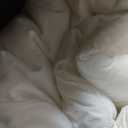 Utopia Bedding Comforter Duvet Insert, Quilted Comforter with Corner Tabs, Box Stitched Down Alternative Comforters Queen Size (White) (Queen (Pack of 1))