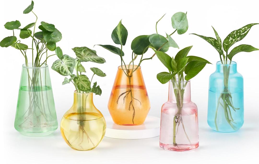 Mkono Propagation Vases for Plants, Set of 5 Small Glass Jar Planters for Hydroponic Cutting Flowers, Plant Station Bud Vases for Centerpieces Home Office Decor Gift, Colorful (Plants not Included)